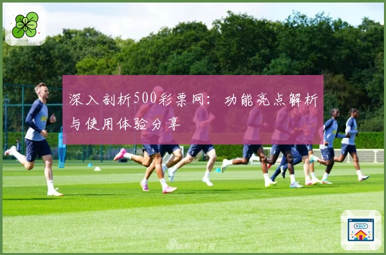 深入剖析500彩票网：功能亮点解析与使用体验分享