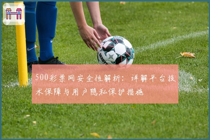 500彩票网安全性解析：详解平台技术保障与用户隐私保护措施